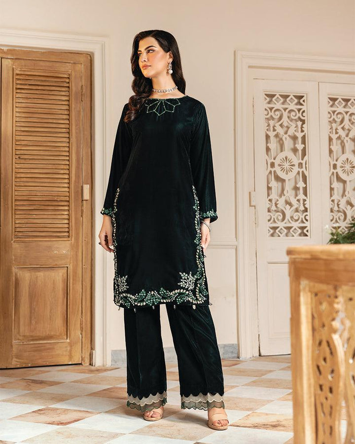 2 Piece Suit Ready to Wear VELVET EMBROIDERED EDITION N-86