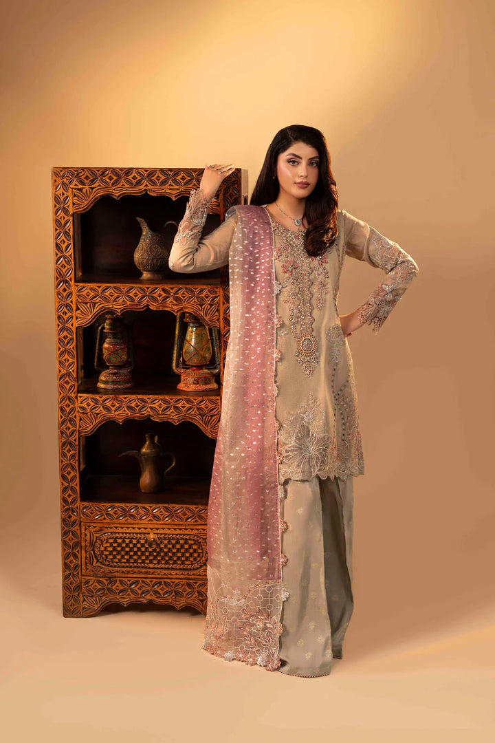 3-Piece Ready to Wear Zahra Rubab Luxe ZR-2543 CLARA - Silver