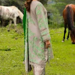 3-PC Stitched Embroidered Shawl Collection CCW4-04