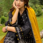 3-PC Stitched Embroidered Shawl Collection CCW4-05