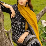 3-PC Stitched Embroidered Shawl Collection CCW4-05