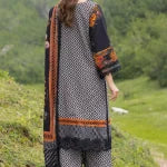 3-PC Stitched Embroidered Shawl Collection CCW4-01