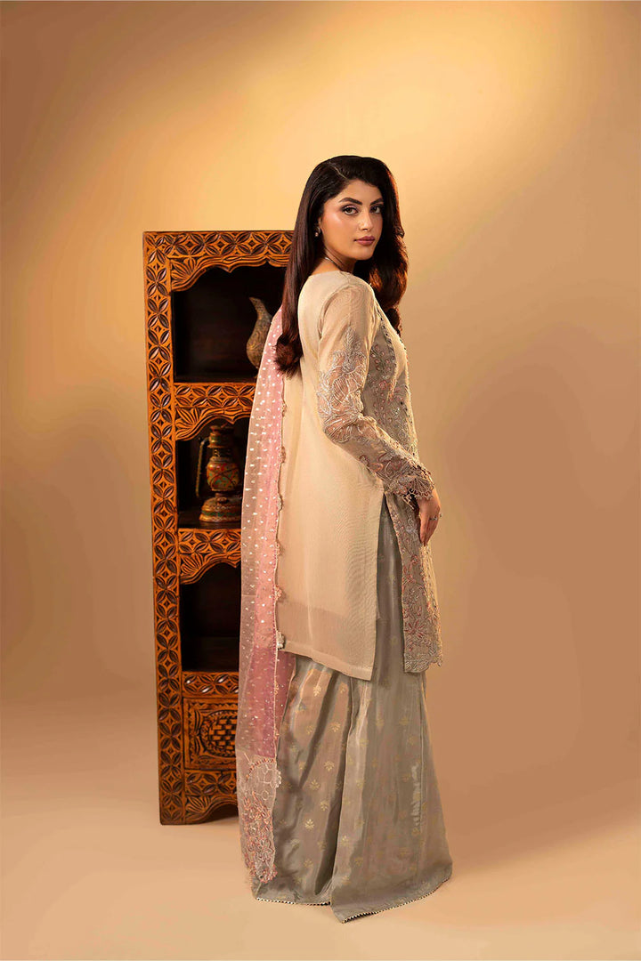 3-Piece Ready to Wear Zahra Rubab Luxe ZR-2543 CLARA - Silver