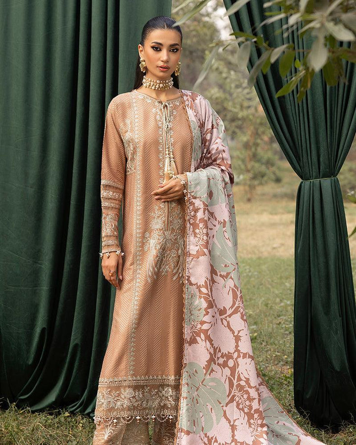 Ally's 3-Piece Suit Embroidered Dhanak Chikankari DNK 50