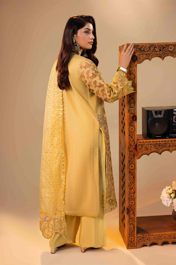 3-Piece Ready to Wear Zahra Rubab Luxe ZR-2541 ADA - Dhaani